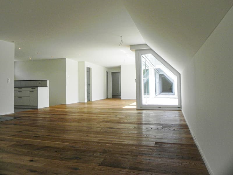 Helle und wunderschöne Attikawohnung mit toller Aussicht (6)