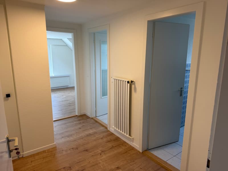 Charmante 1.5-Zimmer-Dachwohnung in Aadorf – sofort verfügbar (6)