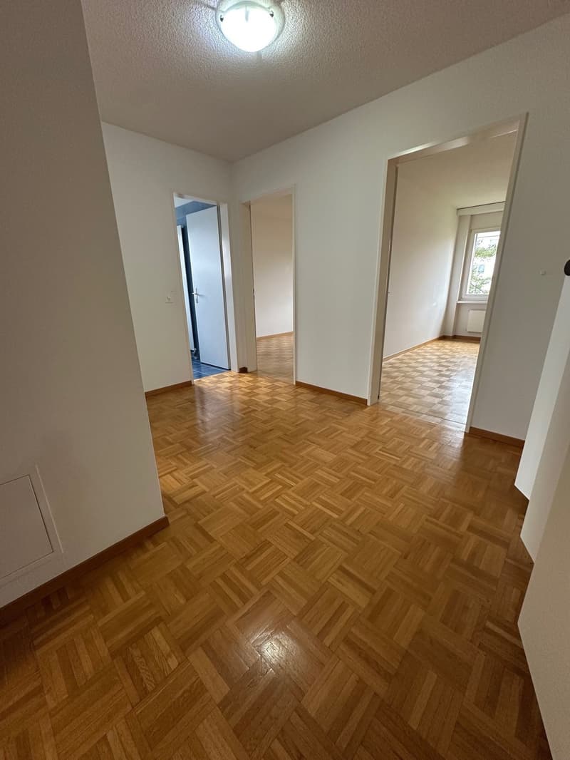 Helle 4.5-Zimmer-Wohnung mit sonnigem Balkon in Weinfelden (4)