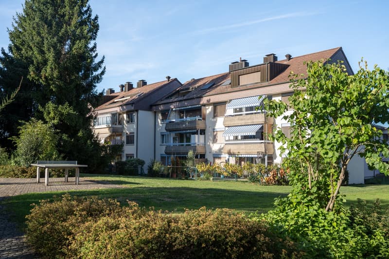 Charmante 3.5-Zimmer-Wohnung mit Balkon zu kaufen (1)