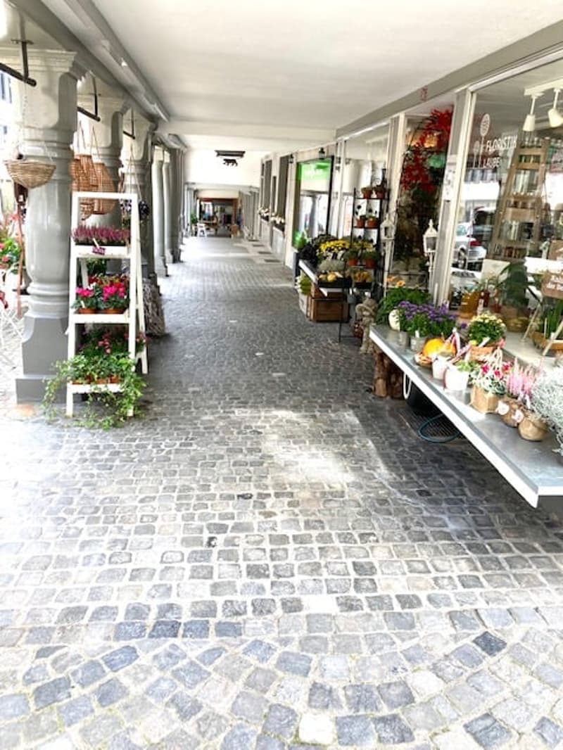 Shop premises (2)