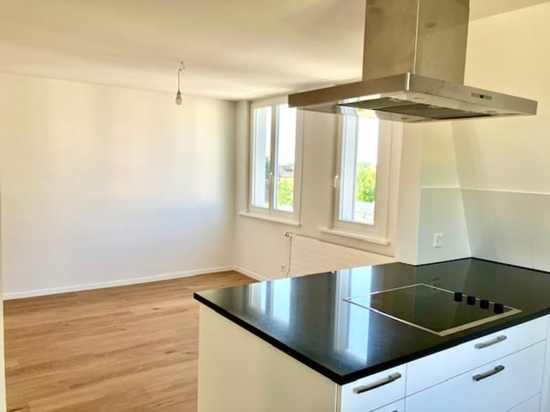 Altbau 5.5-Zimmer-Maisonette-Wohnung mit Weitsicht in Arbon (5)