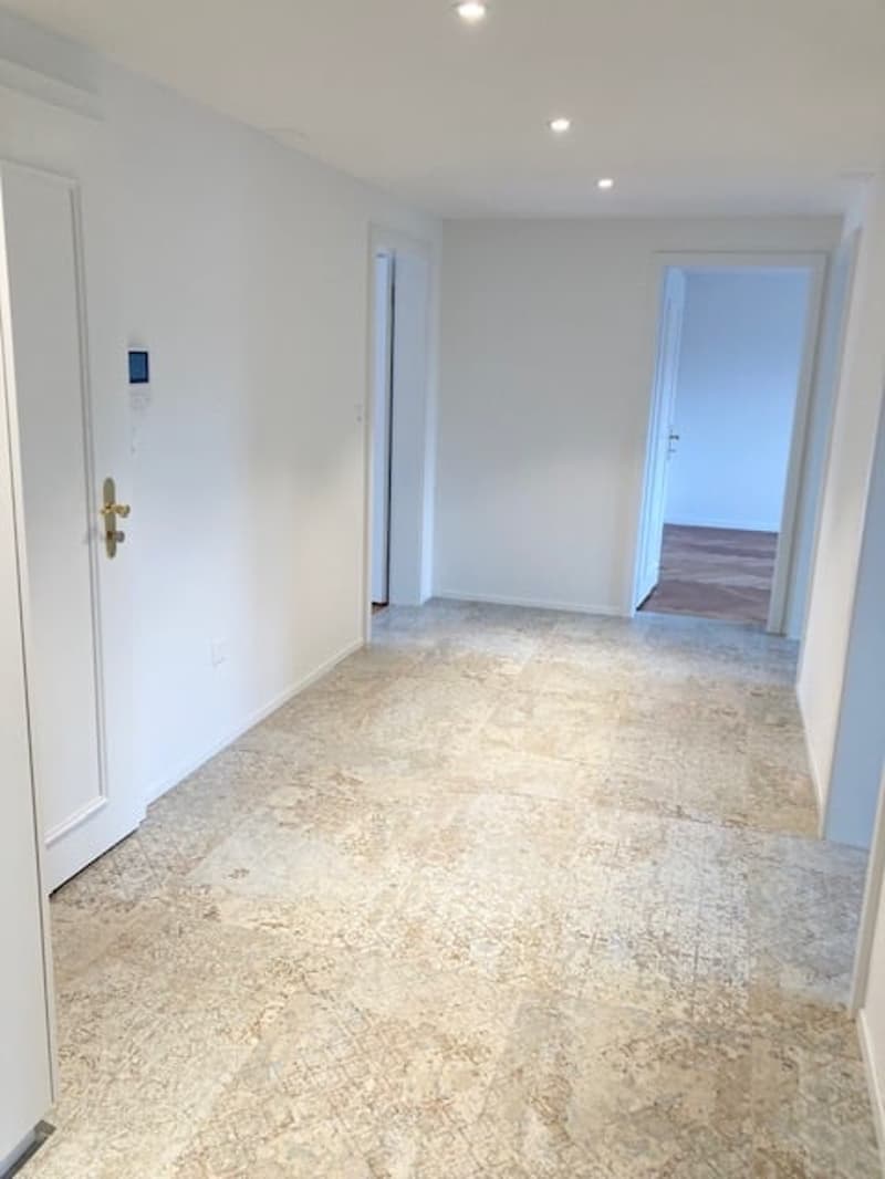 Luxeriöse sanierte 4,5 Zimmer Altbau Wohnung mit Balkon im Zentrum von Herisau (3)