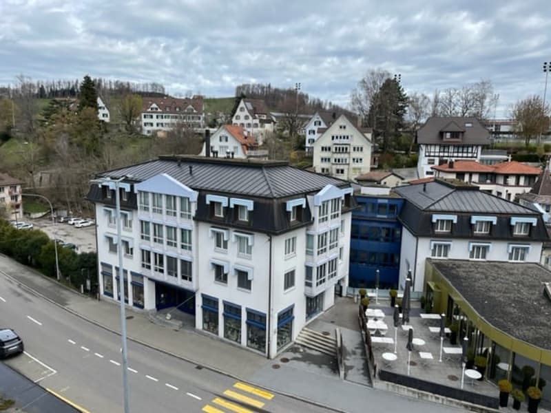 Luxeriöse sanierte 5,5 Zimmer Altbau Wohnung mit Balkon im Zentrum von Herisau (11)