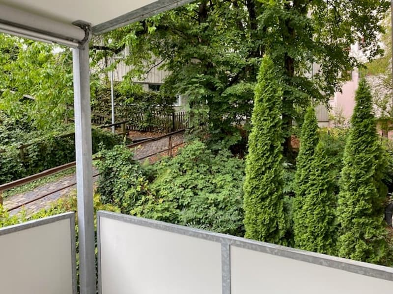 Luxeriöse sanierte 5,5 Zimmer Altbau Wohnung mit Balkon im Zentrum von Herisau (12)