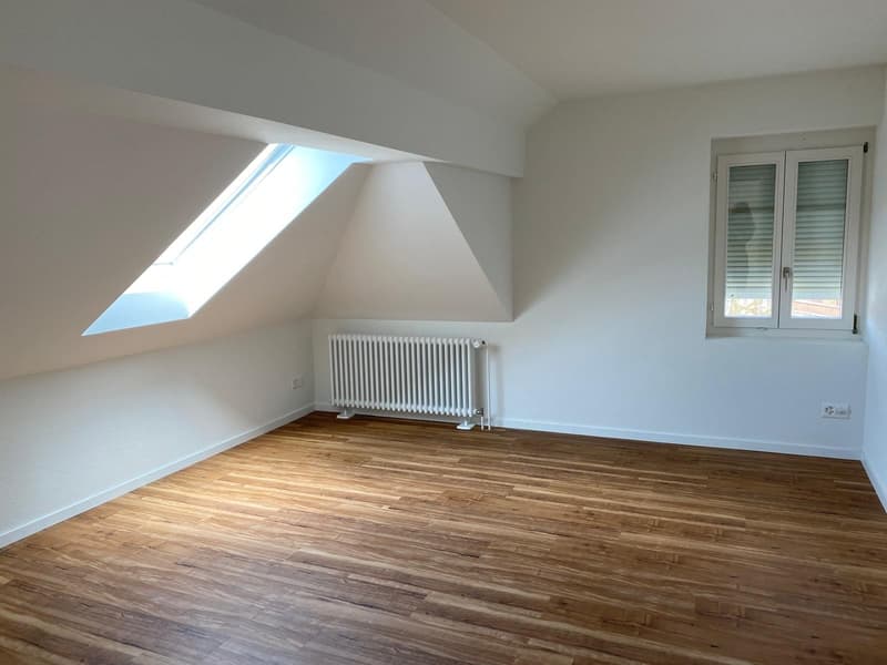 Zimmer__