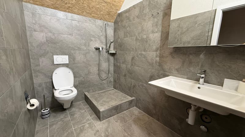 Helles Dachgeschoss-Studio mit Stil – Ideal für leises Gewerbe oder Atelier (7)