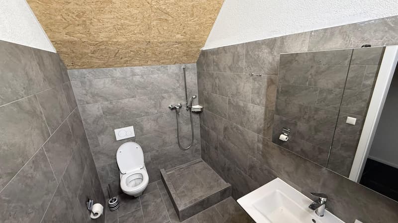 Helles Dachgeschoss-Studio mit Stil – Ideal für leises Gewerbe oder Atelier (6)