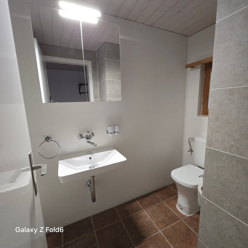 Gemütliche 2-Zimmer-Wohnung in ruhiger Lage in Langwies (19)