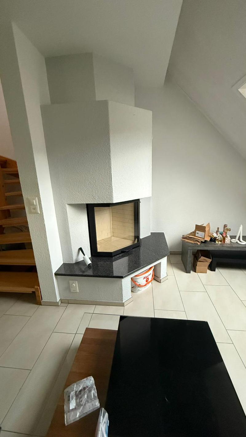 Luxuriöse 3 1/2 Minergie Maisonette Dach-Wohnung mit atemberaubende Aussicht und Balkon (6)