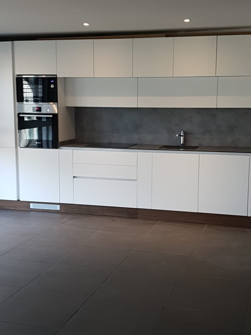 Luxurious 2 1/2 room apartment with private laundry tower and large balcony (6)