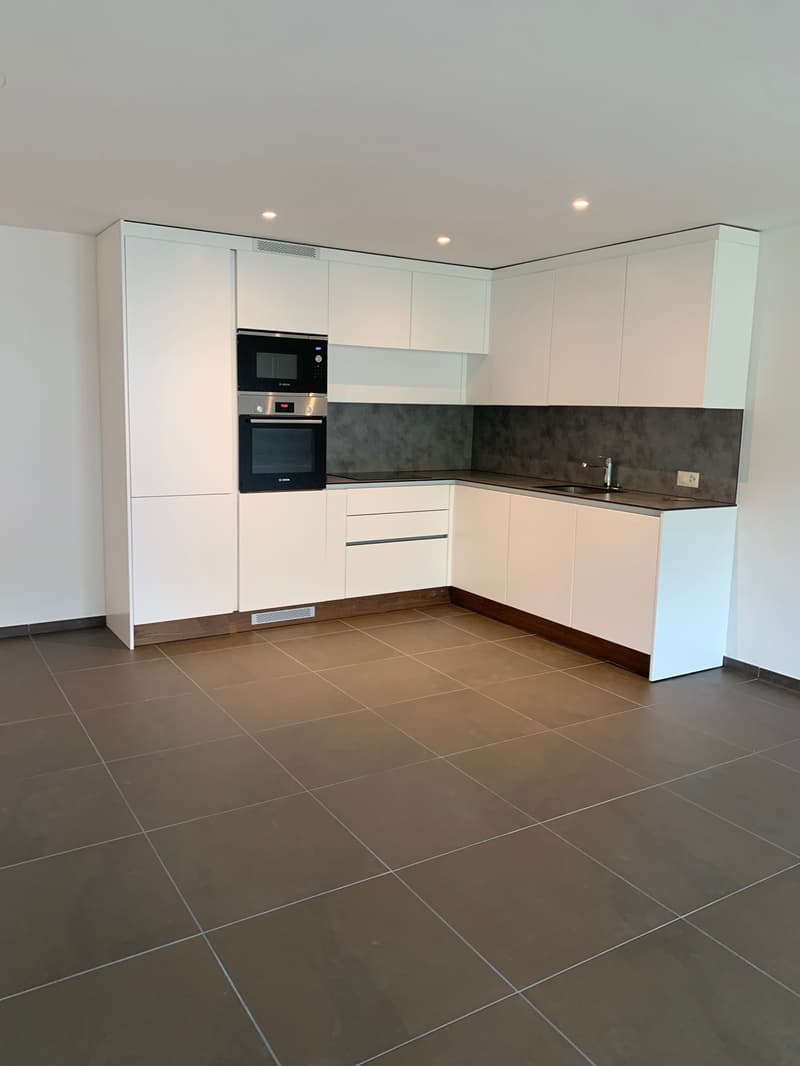 Luxurious 2 1/2 room apartment with private laundry tower and large balcony (4)