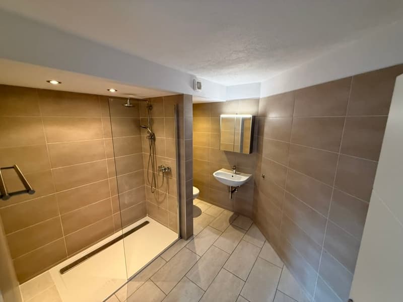6.5 Room Apartment in Uzwil Center with Terrace, Elevator and 2 Bathrooms (9)
