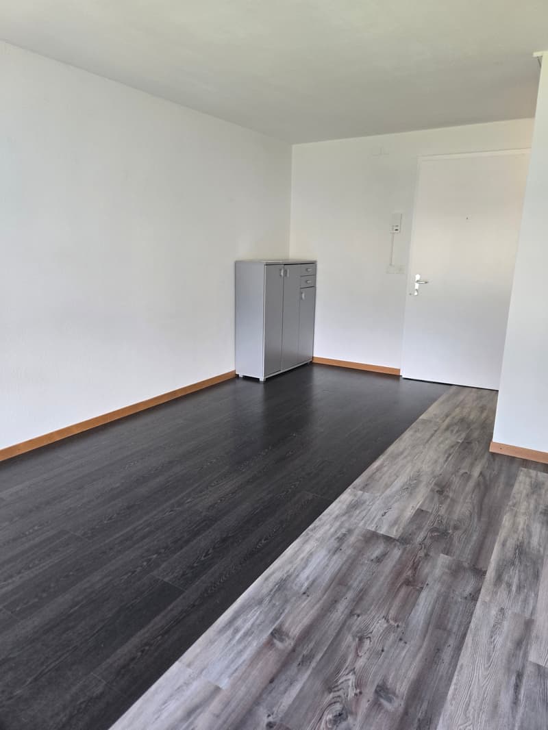 Charming 2-room apartment in a quiet location (4)