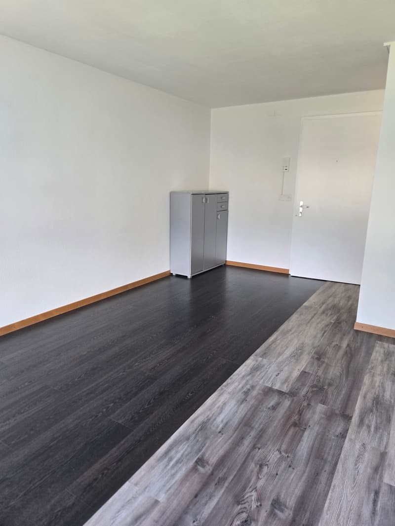 Charming 2-room apartment in a quiet location (3)
