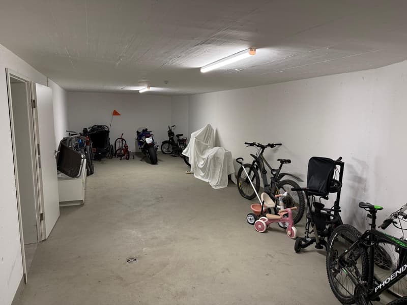 Luxuriöse 2 1/2 Zimmer-Wohnung mit eigenem Waschturm und grossen Balkon (15)