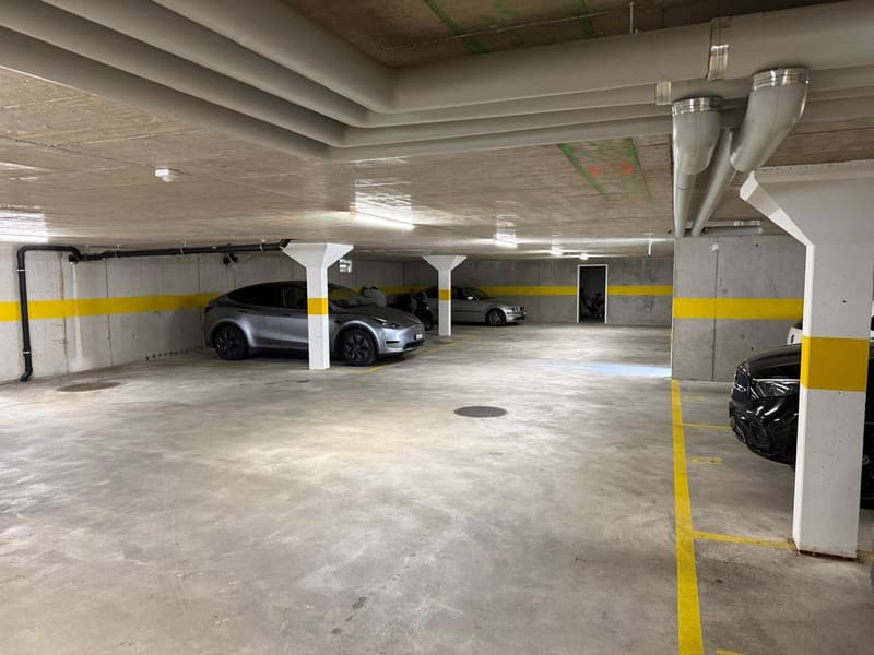 Luxuriöse 2 1/2 Zimmer-Wohnung mit eigenem Waschturm und grossen Balkon (14)