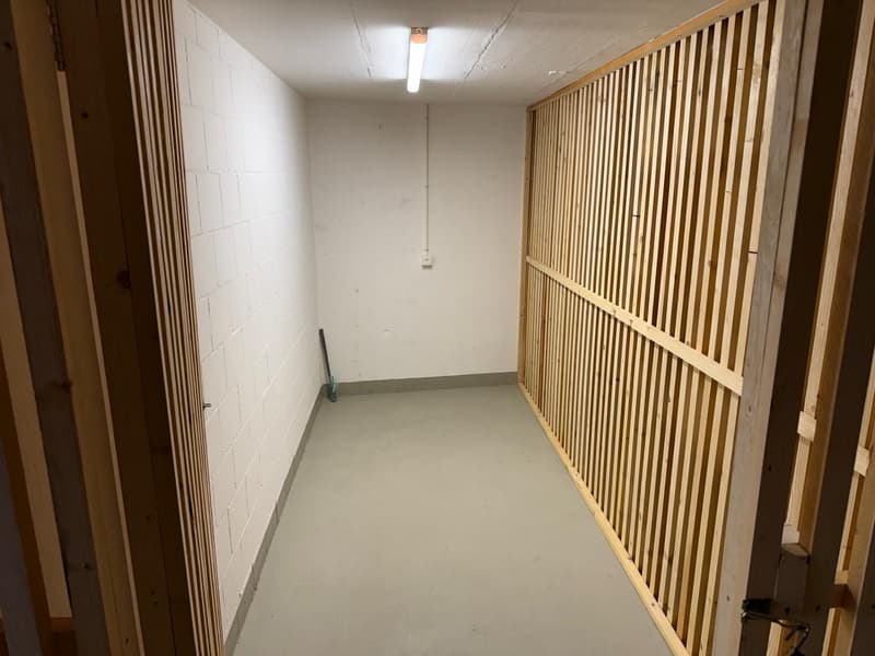 Luxuriöse 2 1/2 Zimmer-Wohnung mit eigenem Waschturm und grossen Balkon (13)