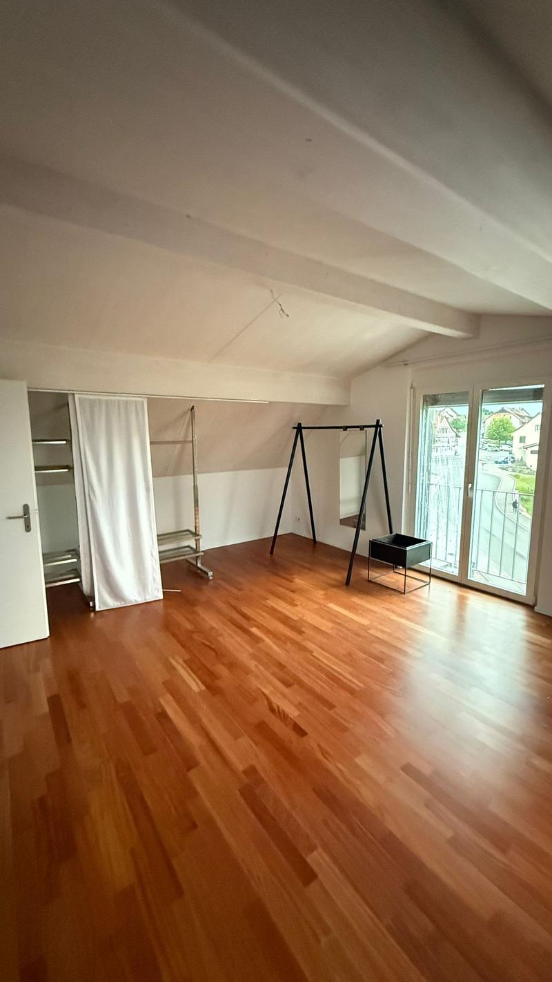 Appartamento-mansarda di lusso 3 1/2 Minergie all'ultimo piano con vista mozzafiato e balcone (13)