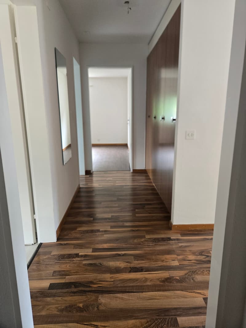 Exquisite 3 Zimmer-Wohnung mit Terrasse (2)