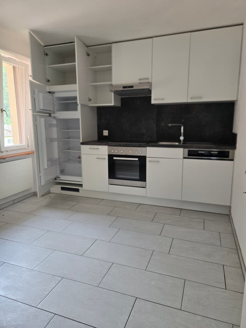 Exquisite 3 Zimmer-Wohnung mit Terrasse (1)