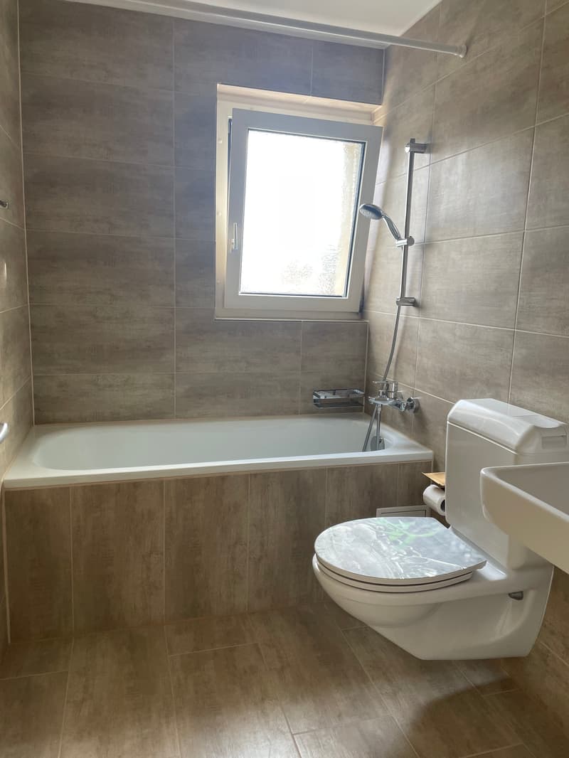 👑 3‑Zimmer-Residenz in Wünnewil-Flamatt – eine Geschichte von Licht, Ruhe und Lebensqualität (4)