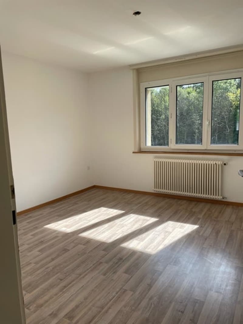 👑 3‑Zimmer-Residenz in Wünnewil-Flamatt – eine Geschichte von Licht, Ruhe und Lebensqualität (9)