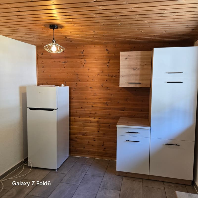 Gemütliche 2-Zimmer-Wohnung in ruhiger Lage in Langwies (10)