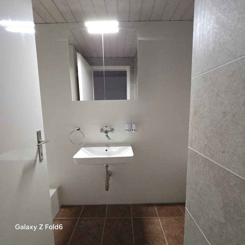 Gemütliche 2-Zimmer-Wohnung in ruhiger Lage in Langwies (15)