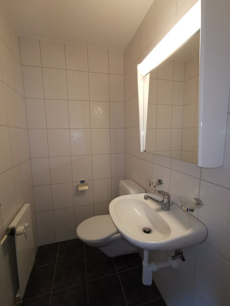 Helle und ruhige 4 1/2 Zimmer Wohnung mit Balkon (2)