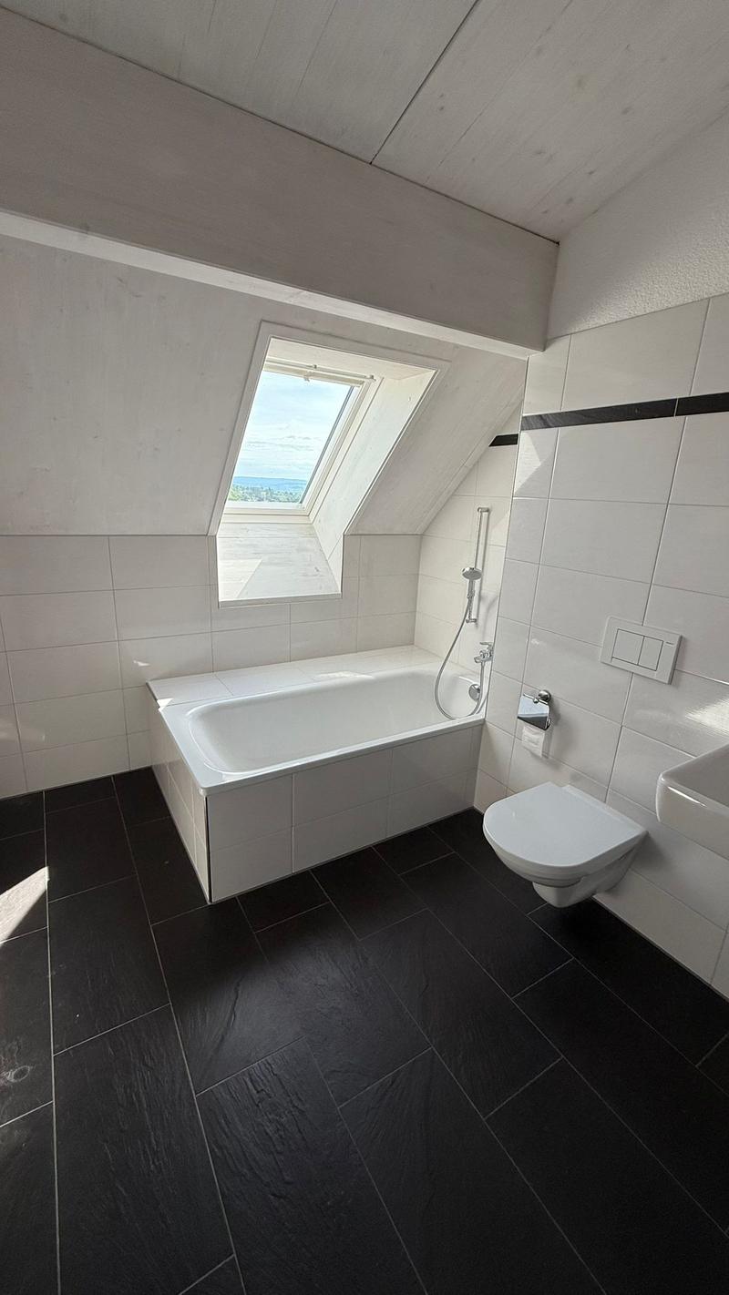 Luxuriöse 3 1/2 Minergie Maisonette Dach-Wohnung mit atemberaubende Aussicht und Balkon (15)