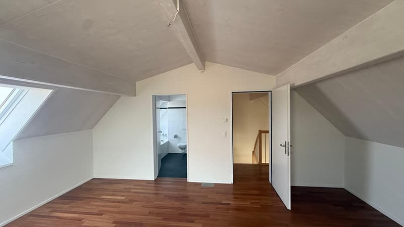 Luxuriöse 3 1/2 Minergie Maisonette Dach-Wohnung mit atemberaubende Aussicht und Balkon (14)
