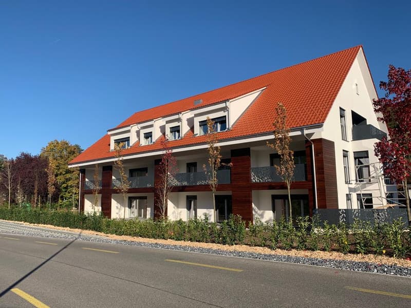 Luxuriöse 2 1/2 Zimmer-Wohnung mit eigenem Waschturm und grossen Balkon (1)