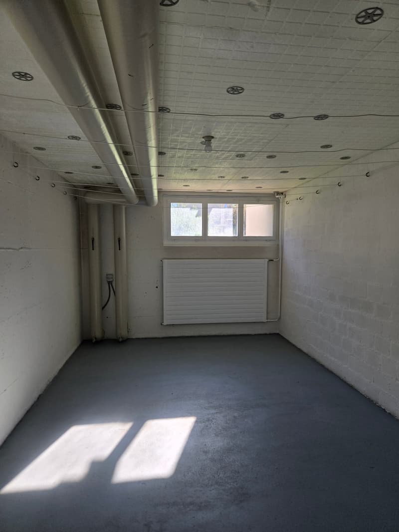 Frisch renovierte 4.5-Zimmer-Wohnung mit Bergblick in Linthal (17)