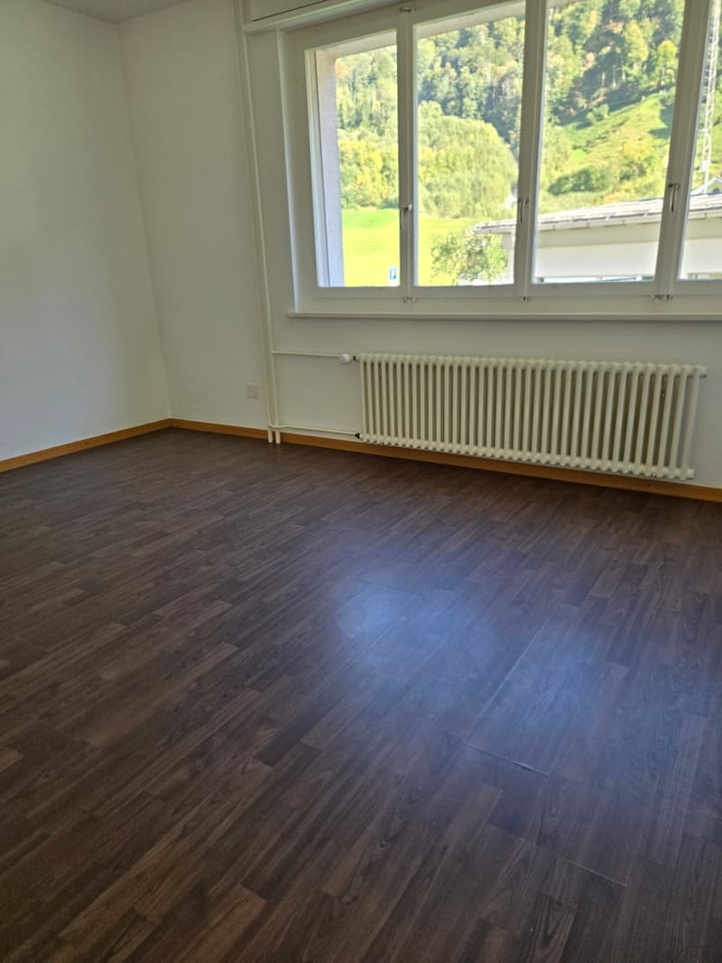 Frisch renovierte 4.5-Zimmer-Wohnung mit Bergblick in Linthal (11)