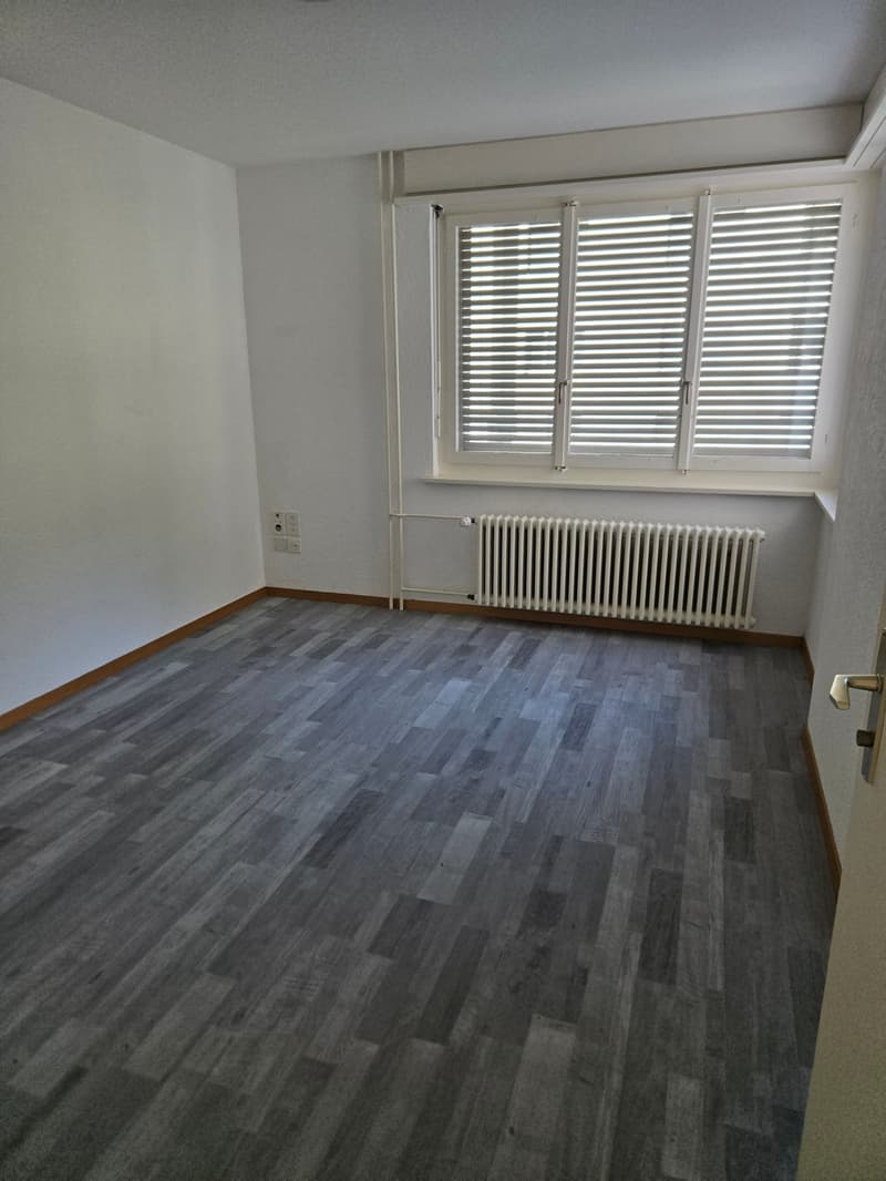 Frisch renovierte 4.5-Zimmer-Wohnung mit Bergblick in Linthal (13)