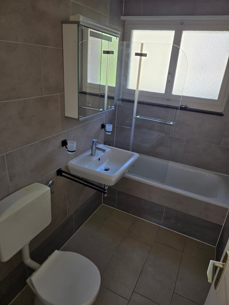 Frisch renovierte 4.5-Zimmer-Wohnung mit Bergblick in Linthal (10)