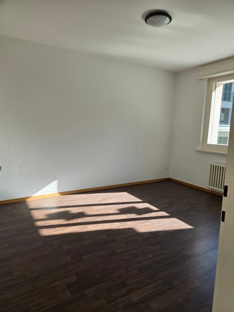 Frisch renovierte 4.5-Zimmer-Wohnung mit Bergblick in Linthal (8)