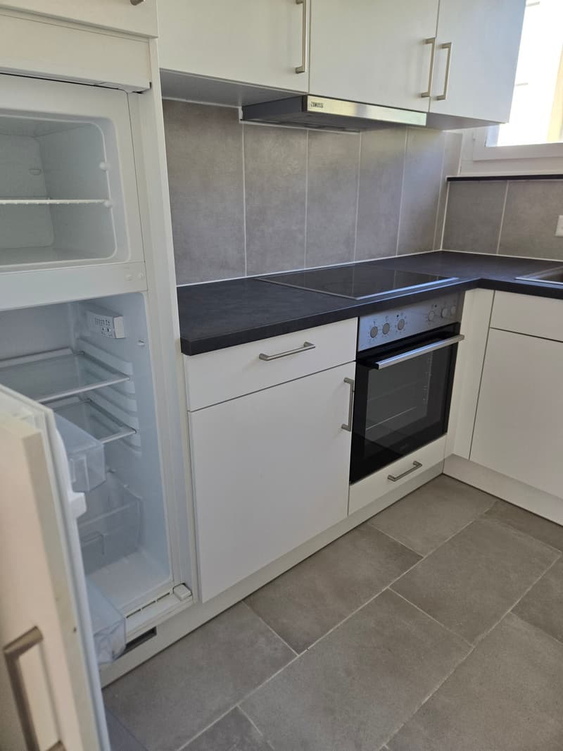 Frisch renovierte 4.5-Zimmer-Wohnung mit Bergblick in Linthal (1)