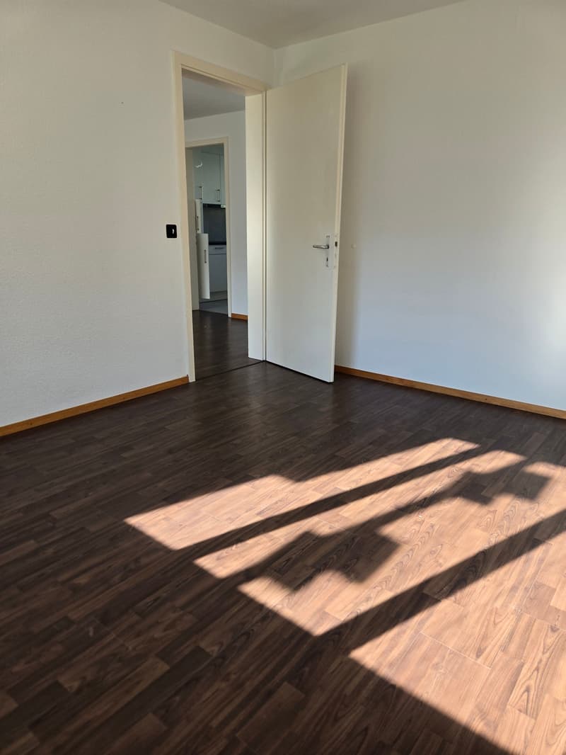 Frisch renovierte 4.5-Zimmer-Wohnung mit Bergblick in Linthal (7)