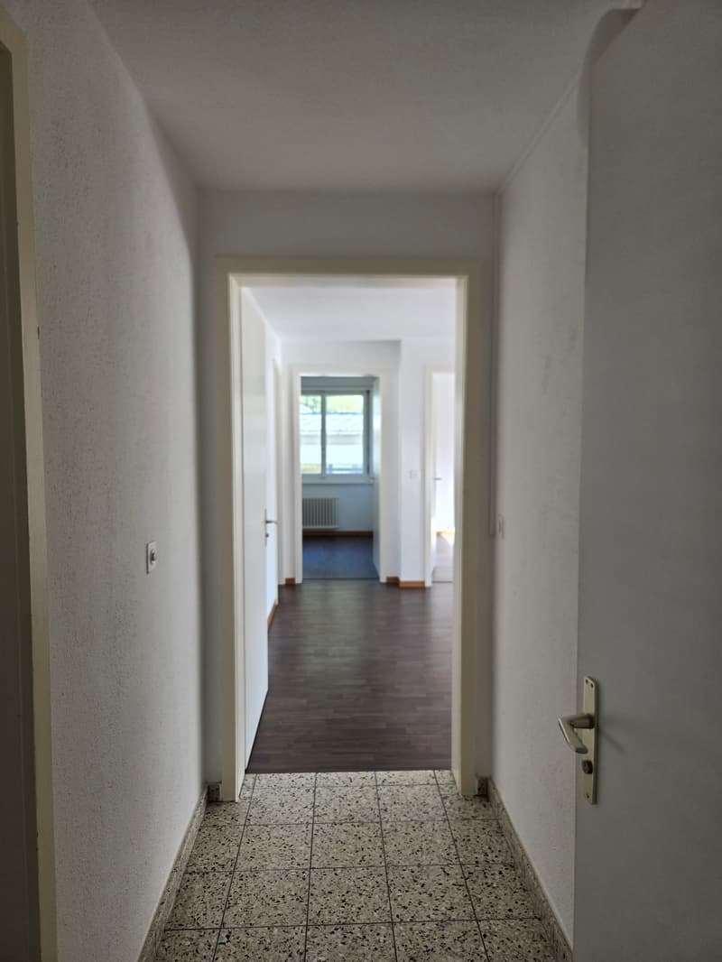 Frisch renovierte 4.5-Zimmer-Wohnung mit Bergblick in Linthal (4)