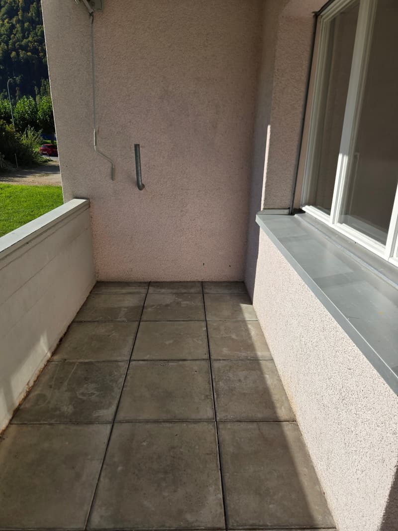 Frisch renovierte 4.5-Zimmer-Wohnung mit Bergblick in Linthal (18)