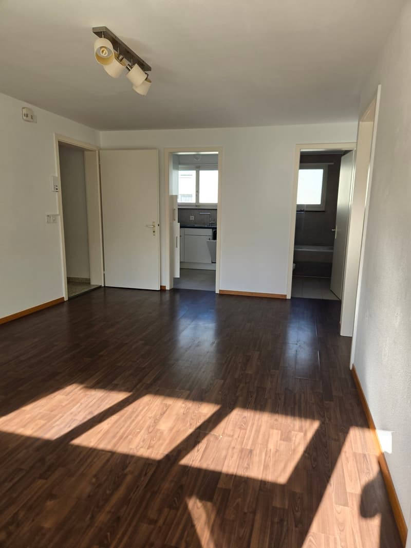 Frisch renovierte 4.5-Zimmer-Wohnung mit Bergblick in Linthal (6)