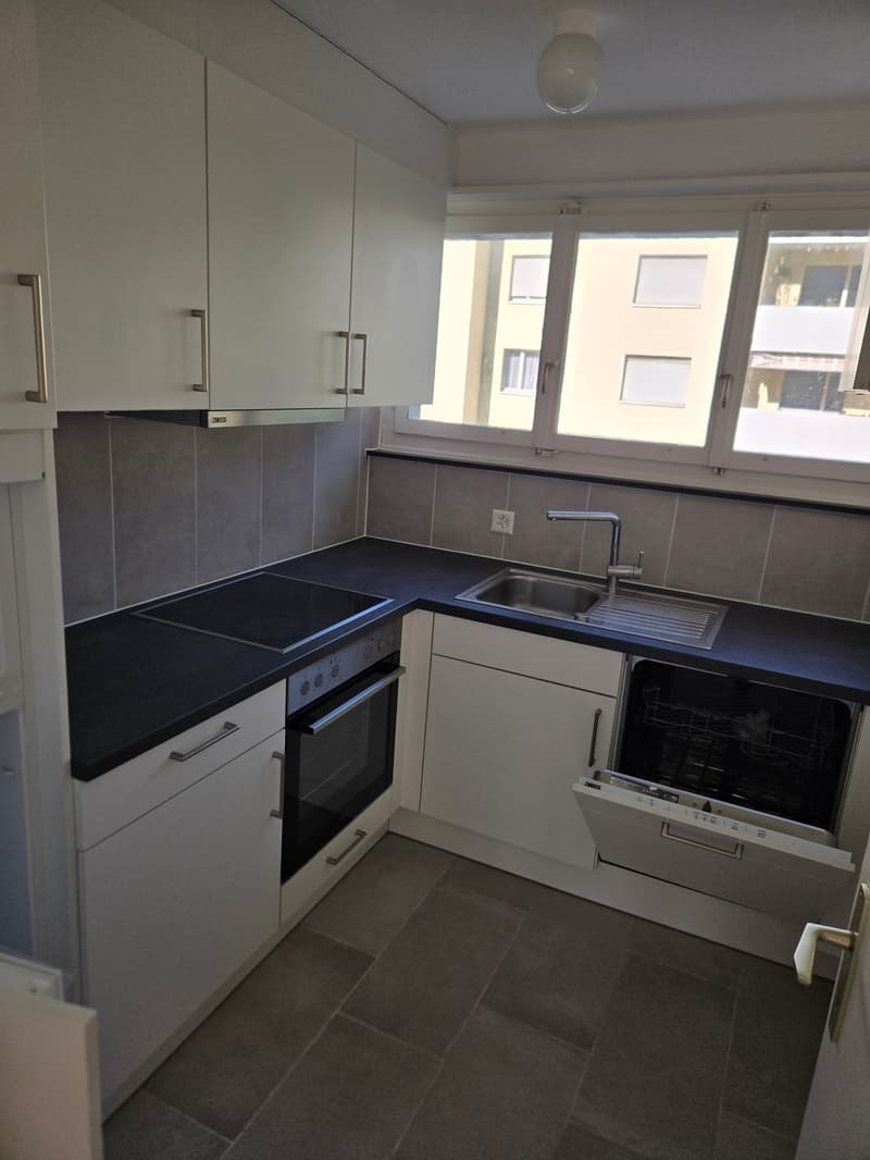 Frisch renovierte 4.5-Zimmer-Wohnung mit Bergblick in Linthal (3)