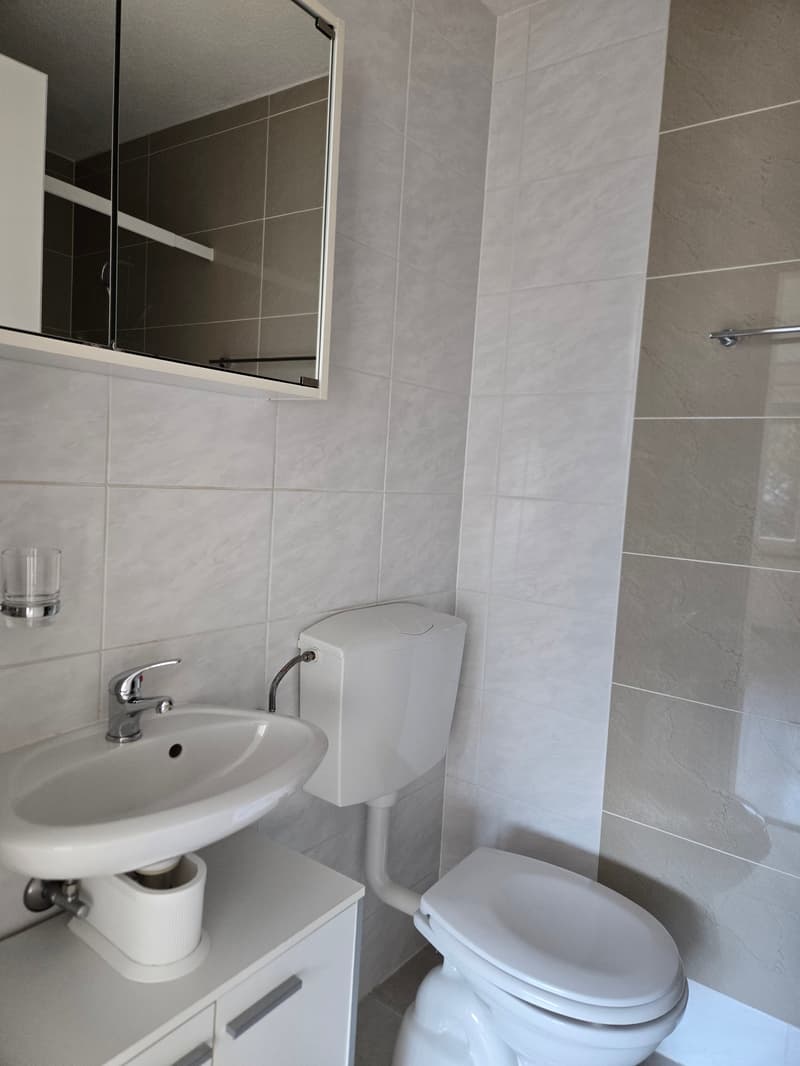 Geräumige 5-Zimmer-Wohnung mit Balkon und schöner Aussicht in Linthal (10)