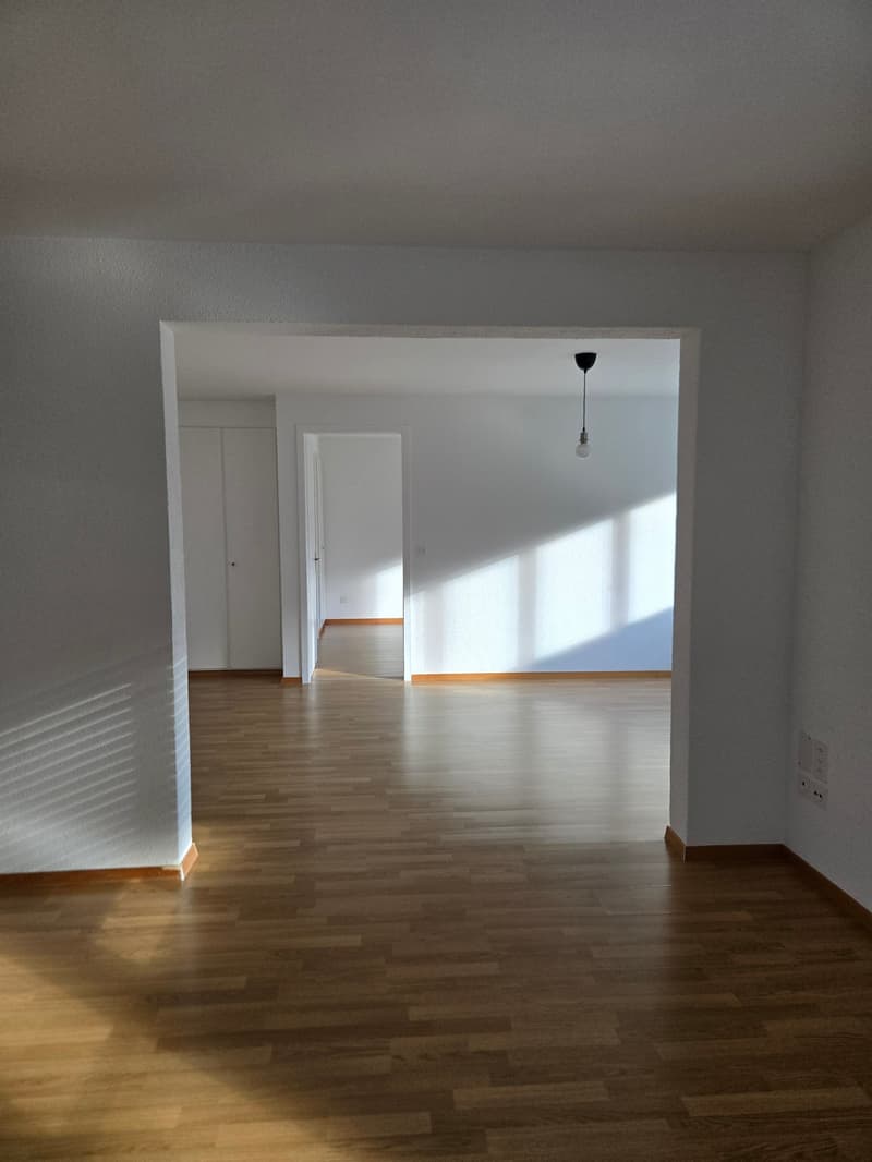 Geräumige 5-Zimmer-Wohnung mit Balkon und schöner Aussicht in Linthal (7)