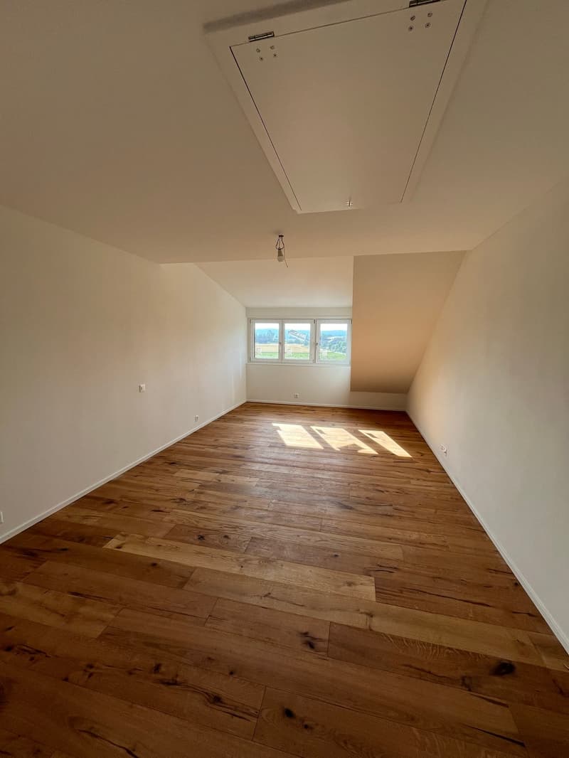 Dachwohnung mit Weitsicht an bester Sonnenlage im Zürcher Weinland (8)