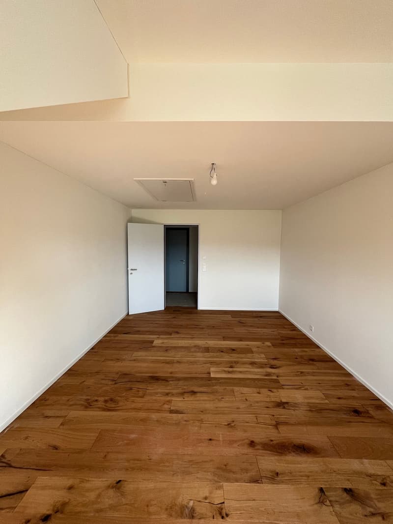 Dachwohnung mit Weitsicht an bester Sonnenlage im Zürcher Weinland (7)