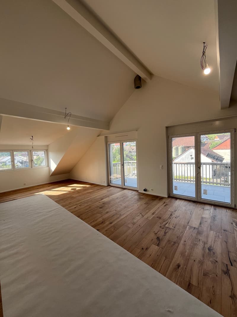 Dachwohnung mit Weitsicht an bester Sonnenlage im Zürcher Weinland (1)