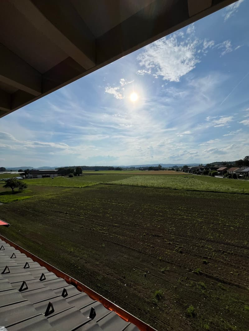 Dachwohnung mit Weitsicht an bester Sonnenlage im Zürcher Weinland (4)
